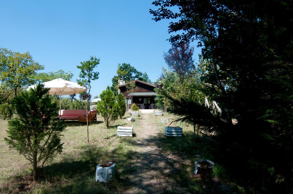 Agva Nehir Perisi Hotel Goce Екстер'єр фото